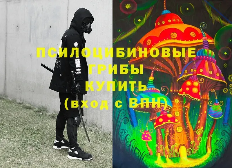 darknet как зайти  хочу наркоту  Ивдель  Галлюциногенные грибы Psilocybe 