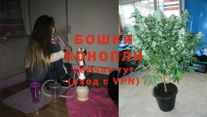 Каннабис White Widow  Ивдель 